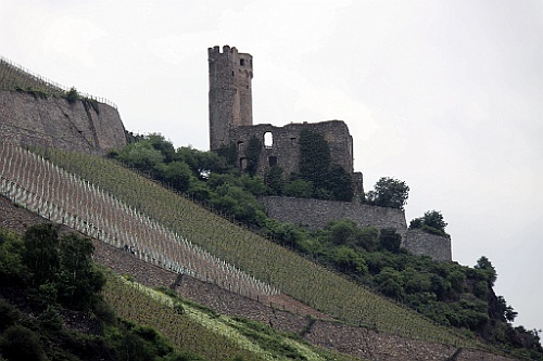 geis (121)